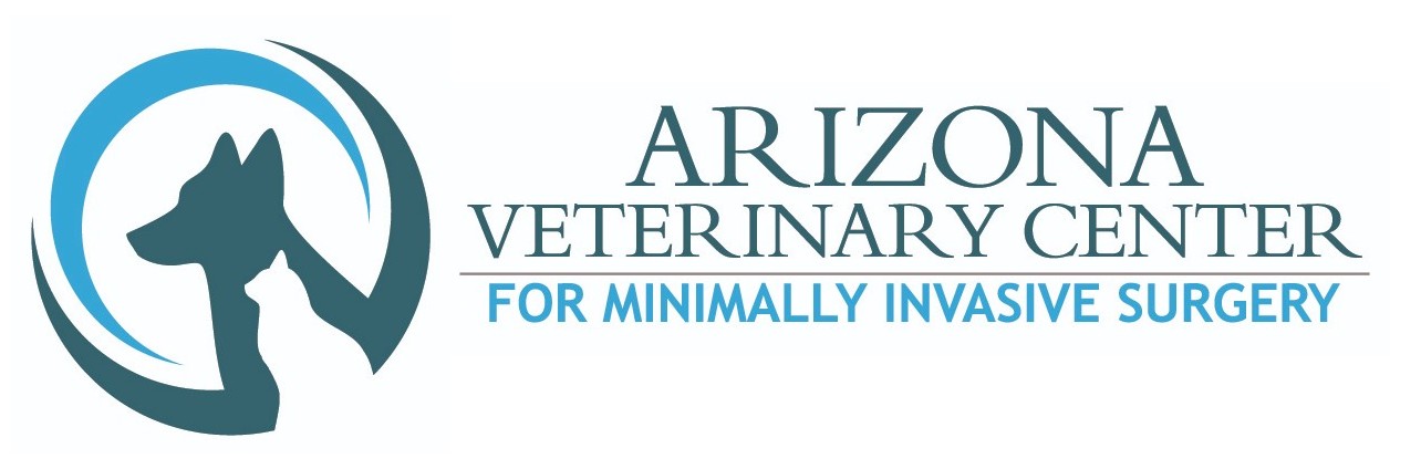 Arizona Veterinary Center for Minimally Invasive Surgery